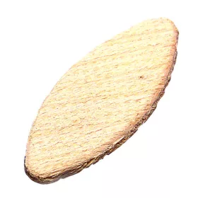 82906 főkép